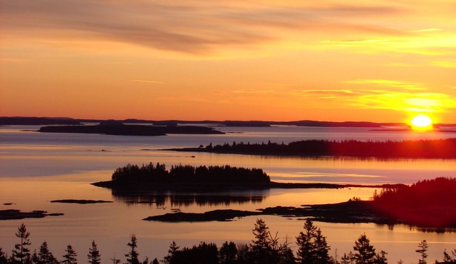 The Natural Beauty of Downeast, ME surrounds Pyne Cove Cottage and welcomes you!