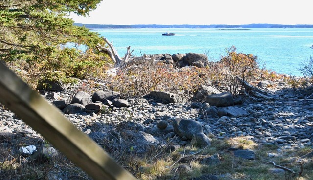 THE VERY BEST OCEANFRONT GLAMPING RETREAT IN DOWNEAST MAINE!⚓ 🌊 🐕