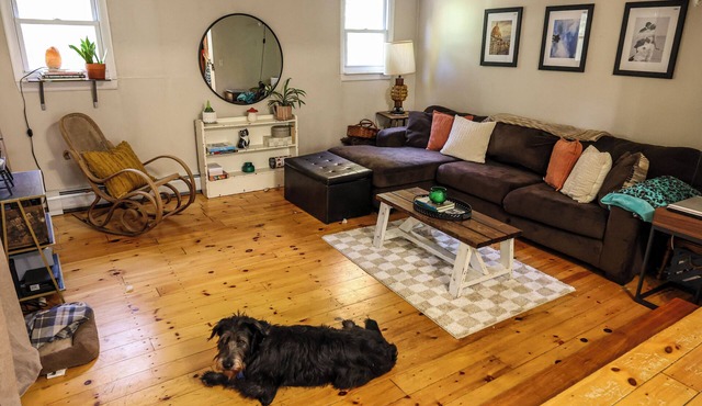 Tiny Home, Big Character. Close to Town, Lake, and Trails! Pet-Friendly!