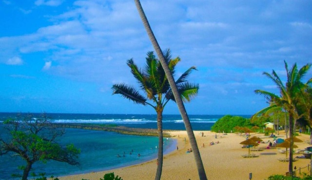 Turtle Bay- Full Kitchen, Two Full Baths - Rated 9.6 out of 10! - Walk to Beach!