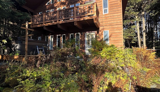 Unique and cozy 4 bedroom home in Girdwood with hot tub!