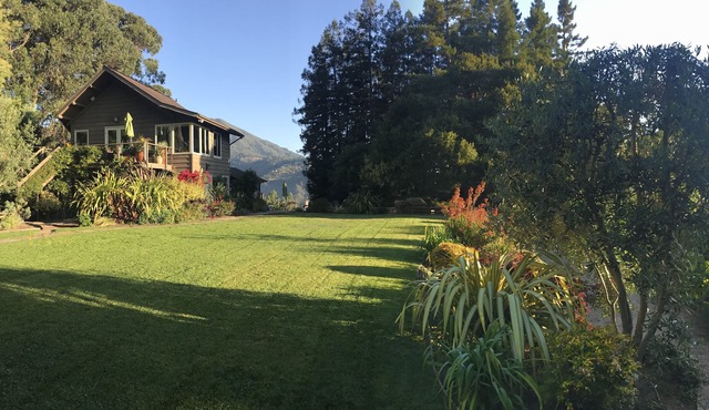 Unique Mill Valley Home