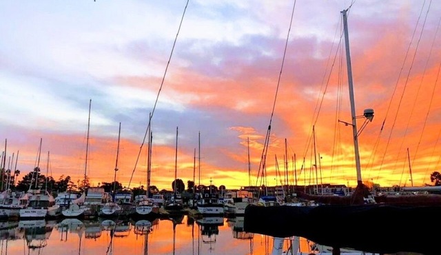 Waterfront home with King Bed, spacious, clean, pet friendly. Near SF, Napa