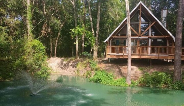 Waterfront Texas Cabin in a Magical Forest