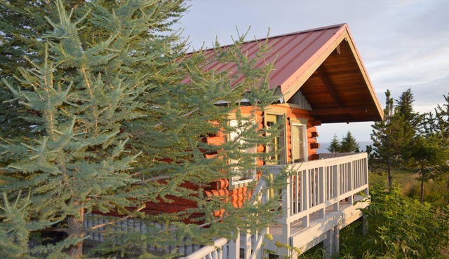 Whiskey Point Cabins & RV Park