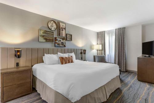 Windmill Suites Surprise - Phoenix, an Ascend Collection Hotel in Surprise