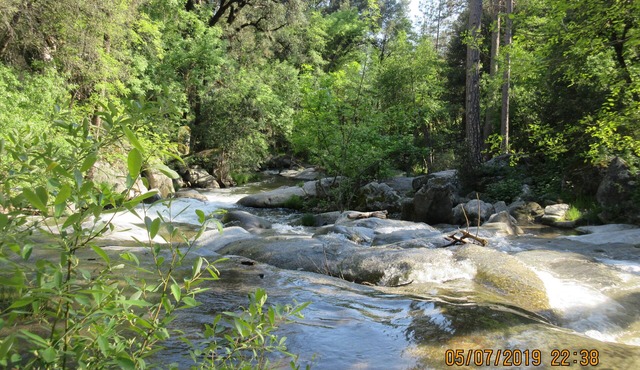 Yosemite Southgate Waterfront Cabin 3 Bdrm Bass Lake Oakhurst Spa pets Specials!