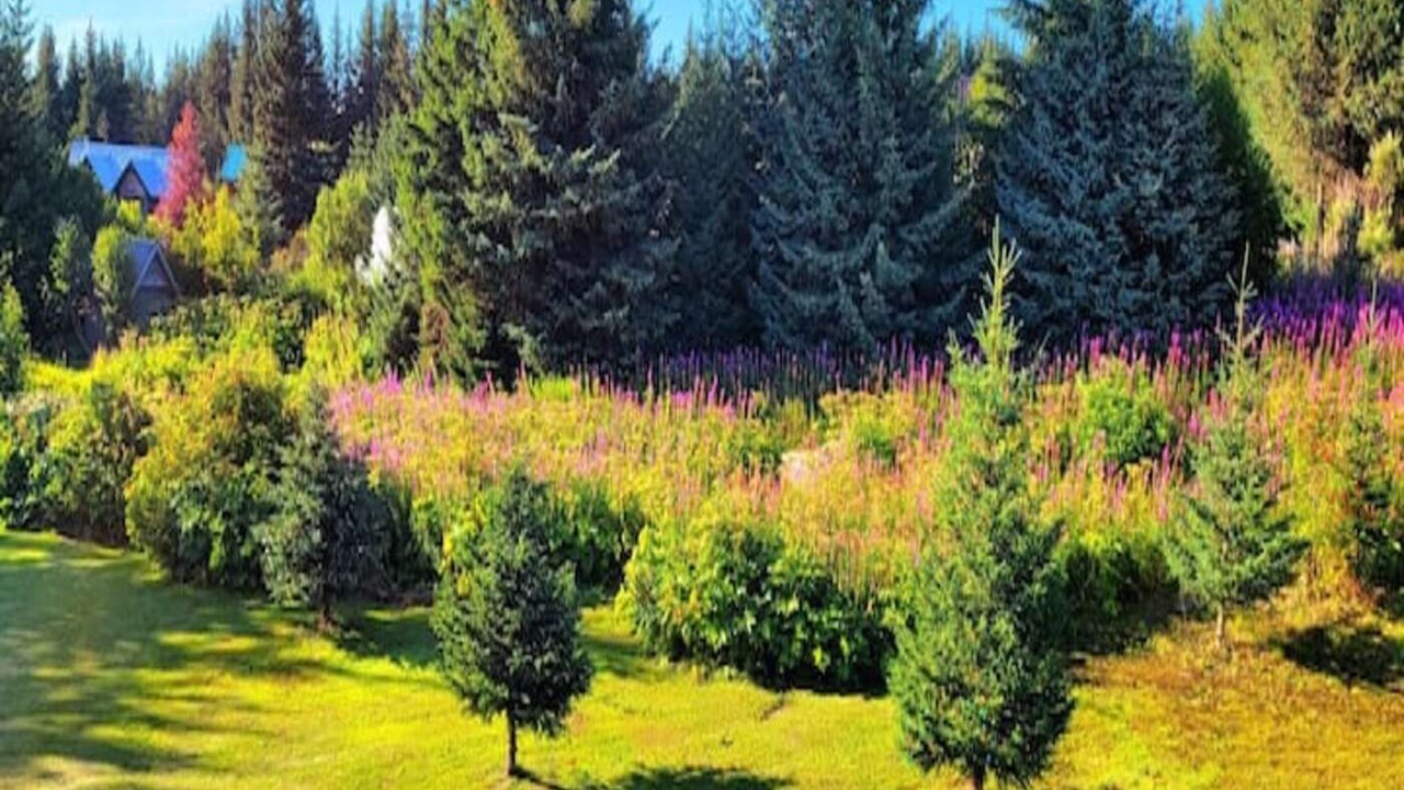 Photo of Outdoor in Diamond Ridge