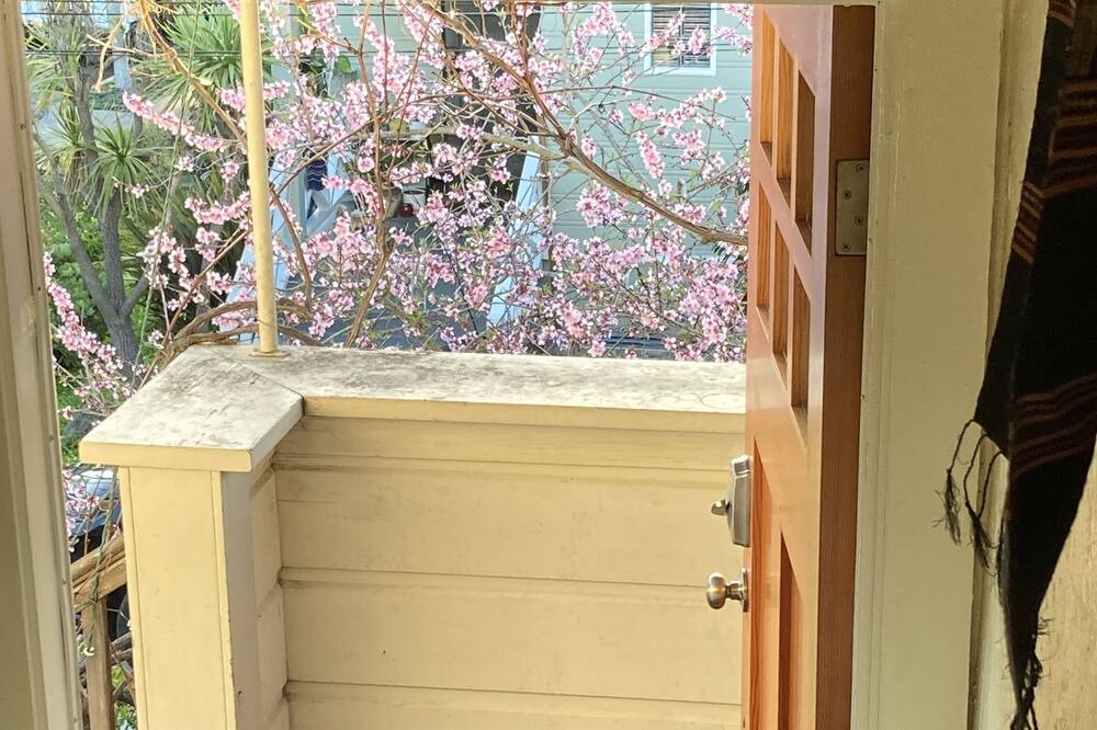 Photo of Others in South Berkeley