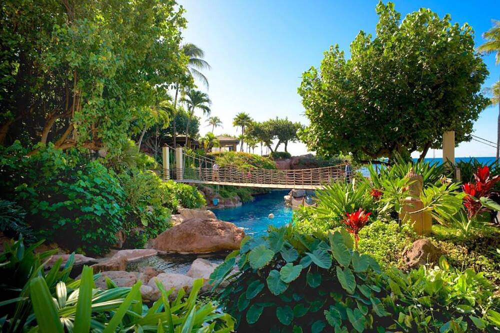 Photo of Outdoor in Lahaina