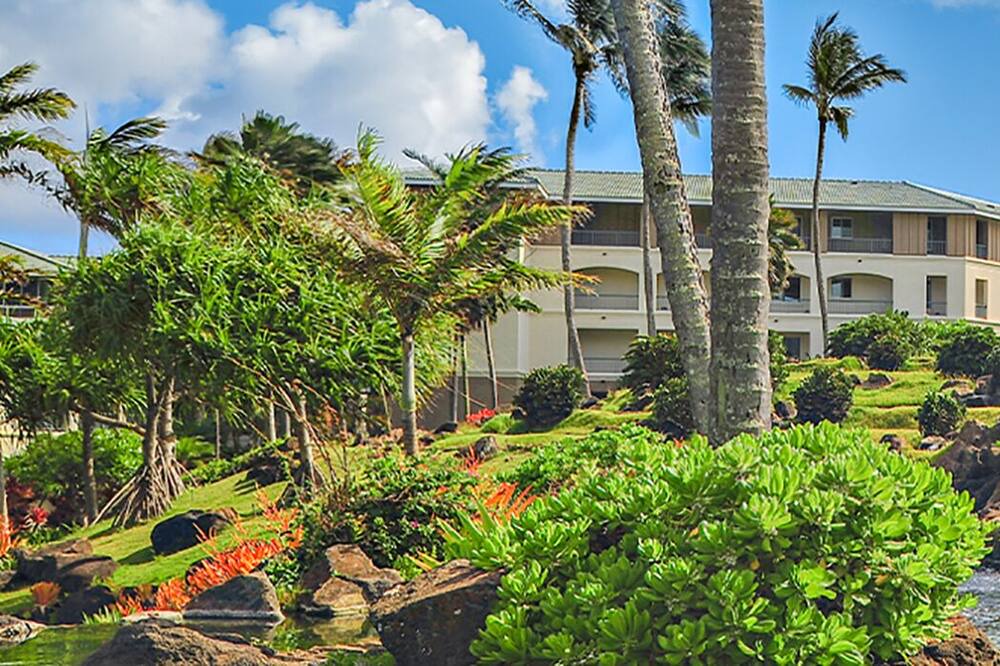 Photo of Outdoor in Lahaina