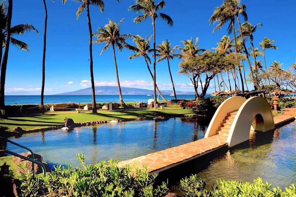 Photo of Others in Lahaina