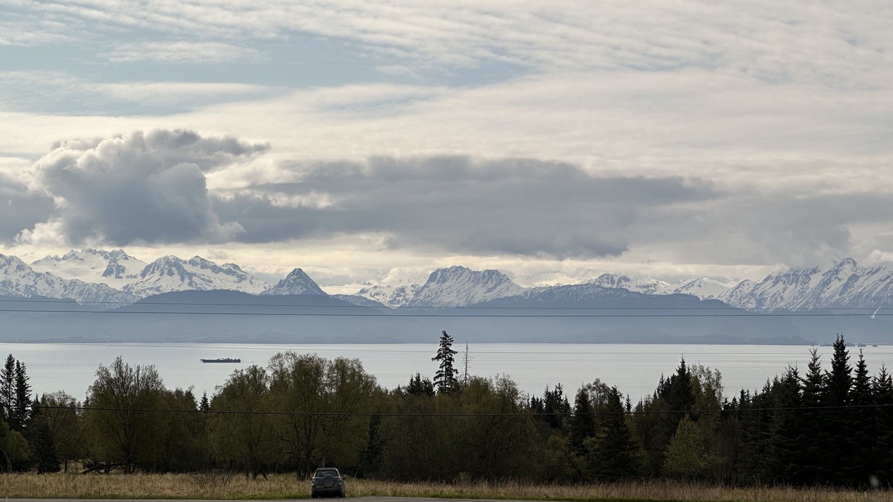 Photo of Others in Homer