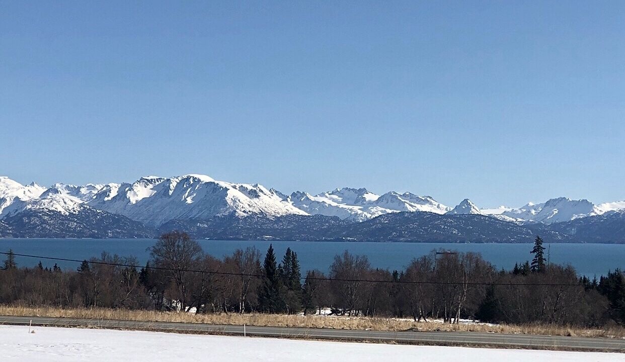 Photo of Others in Homer