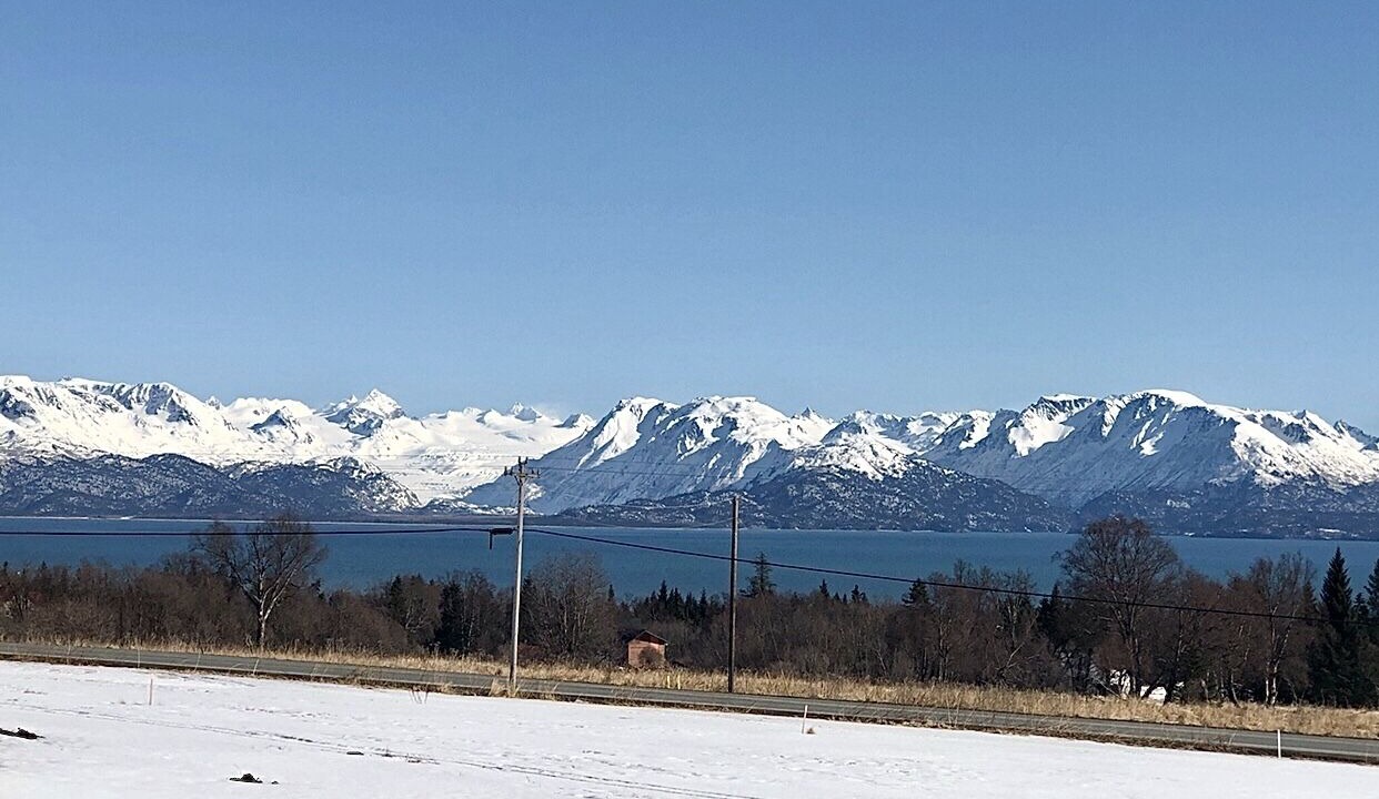 Photo of Others in Homer