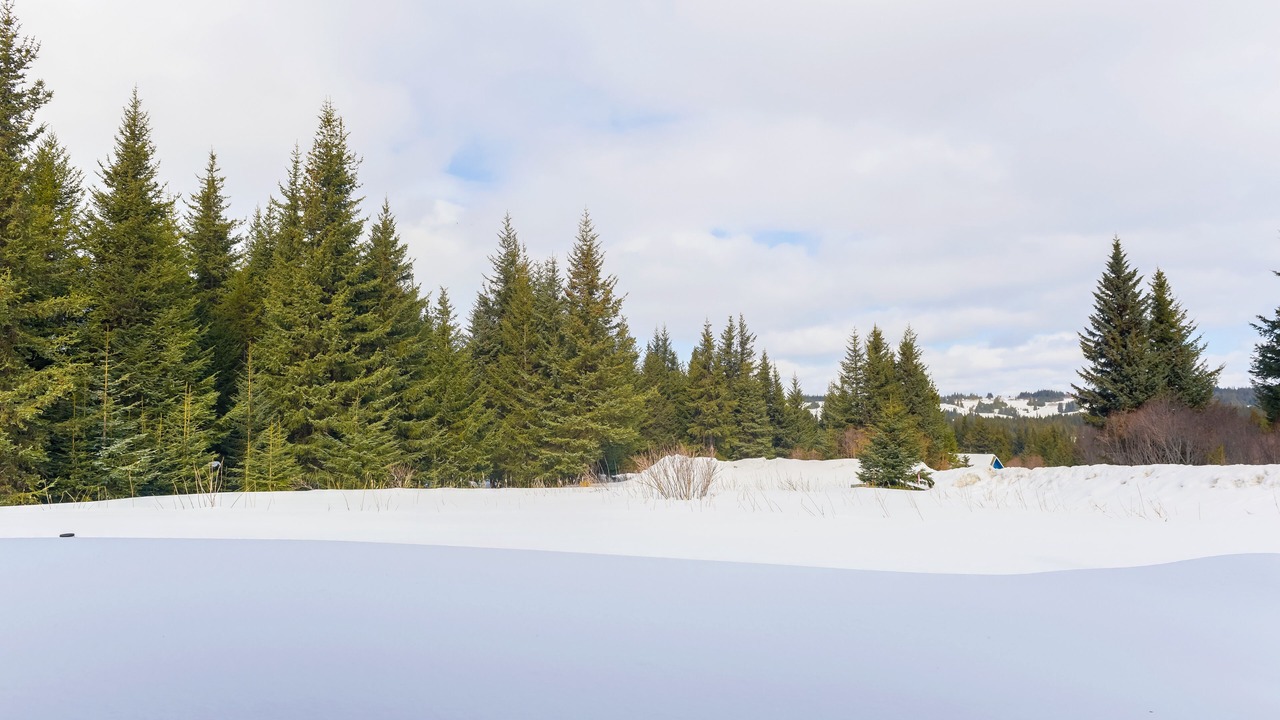 Photo of Others in Diamond Ridge