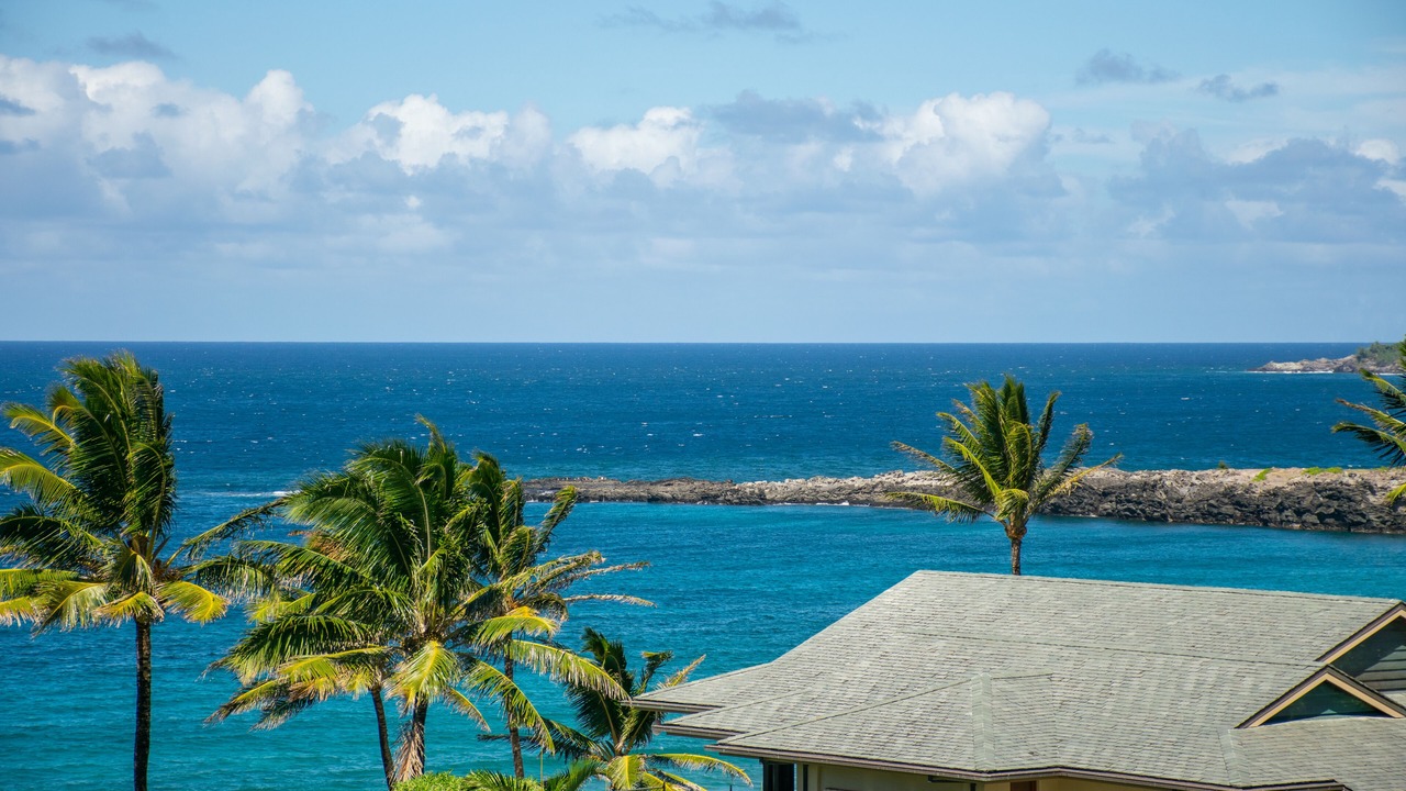 Photo of Others in Napili