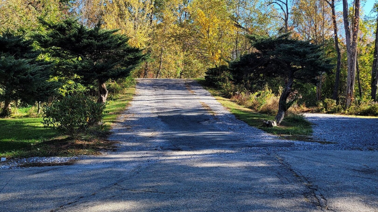 Photo of Outdoor in Newland