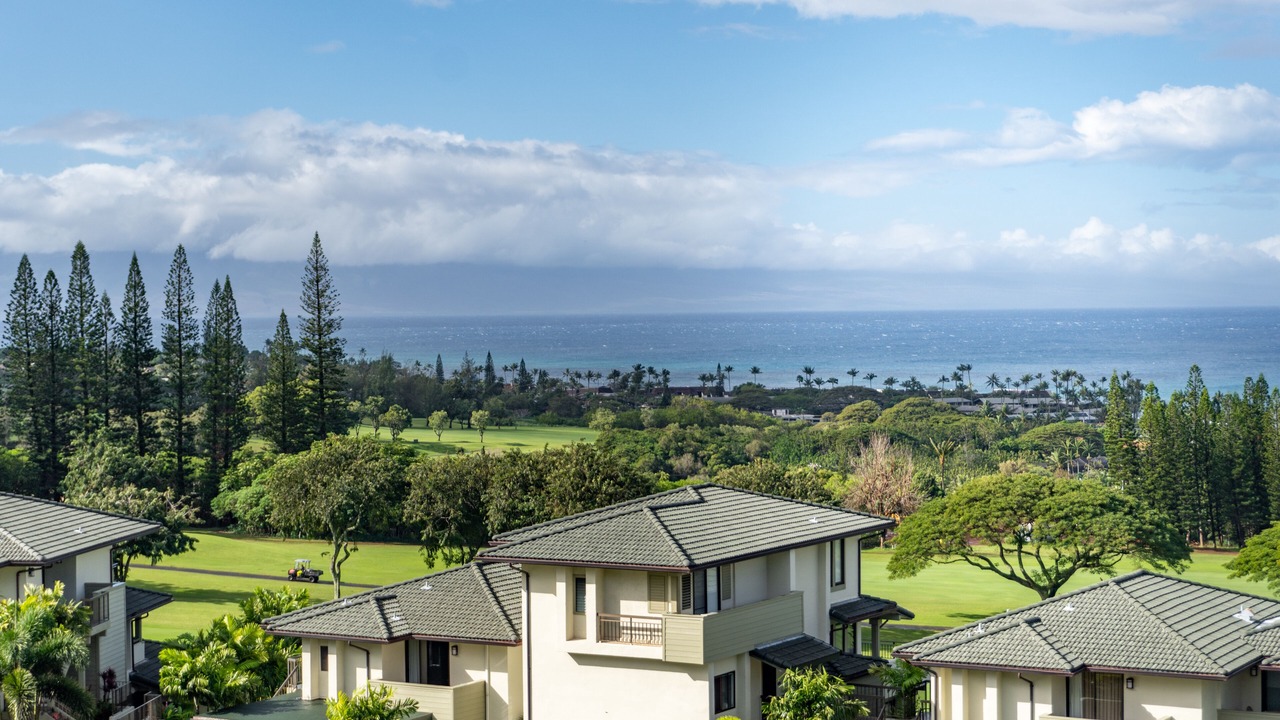 Photo of Others in Napili