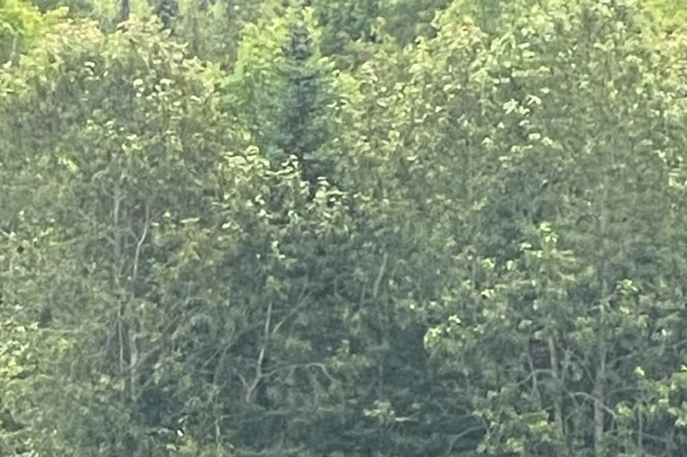 Photo of Others in Hartland