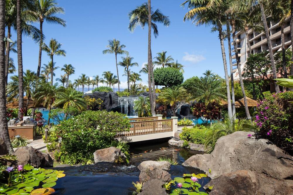 Photo of Outdoor in Lahaina