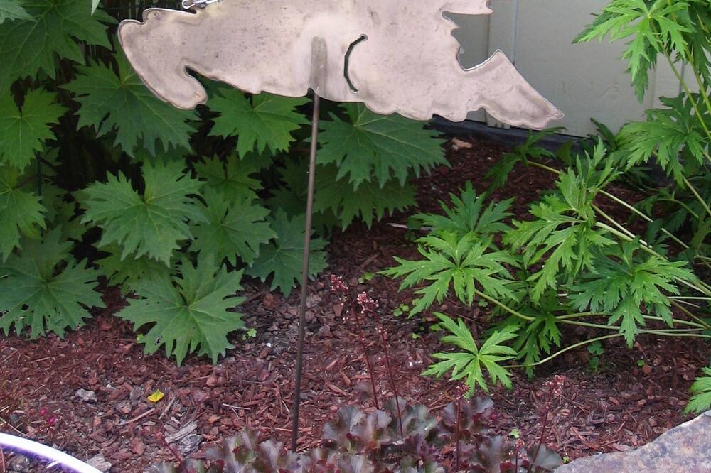 Photo of Outdoor in Northeast Anchorage
