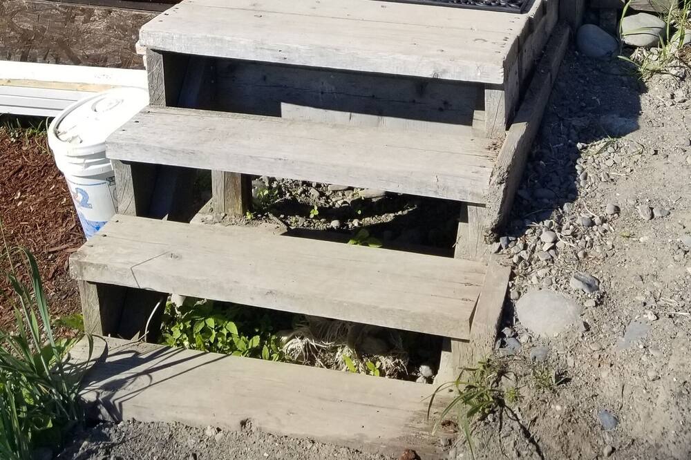Photo of Others in Homer