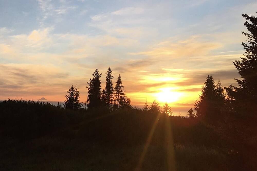 Photo of Others in Homer