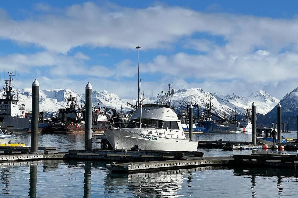 Photo of Others in Homer