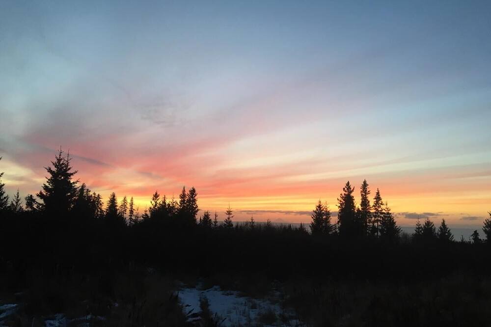 Photo of Others in Homer