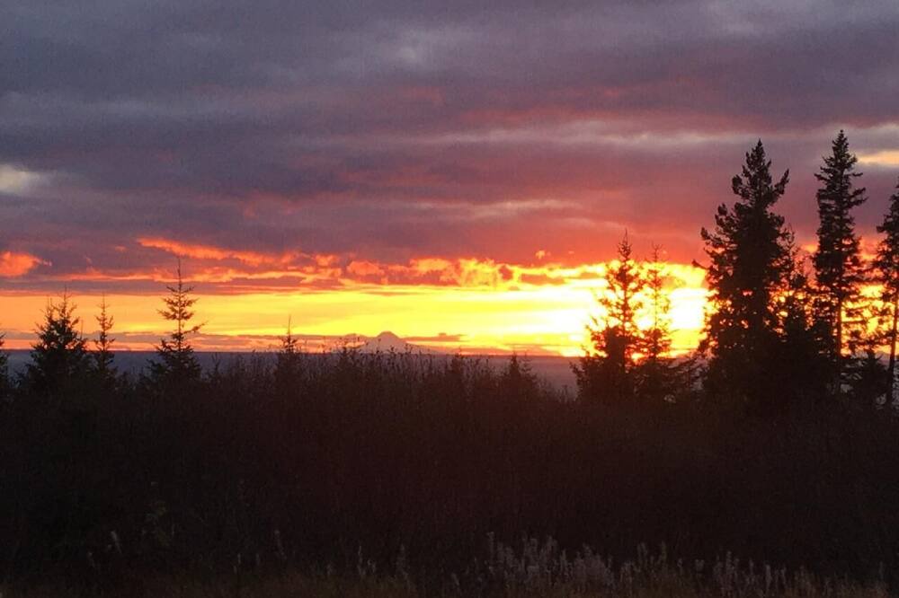 Photo of Others in Homer