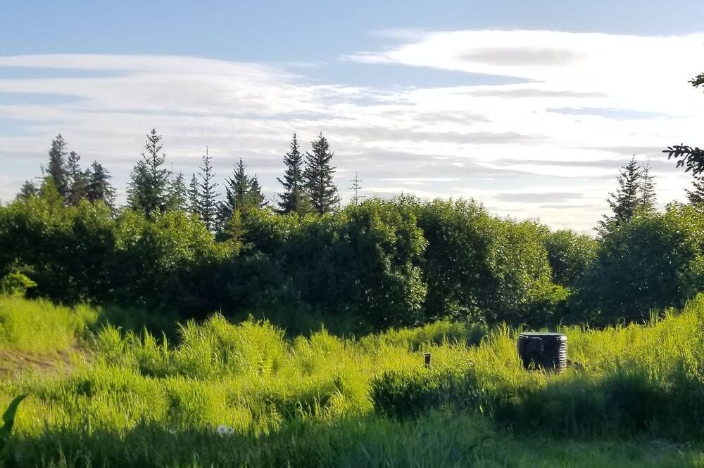 Photo of Others in Homer