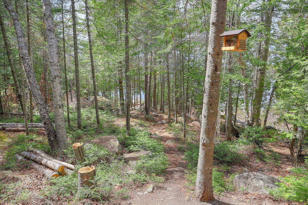 Photo of Outdoor in Rangeley