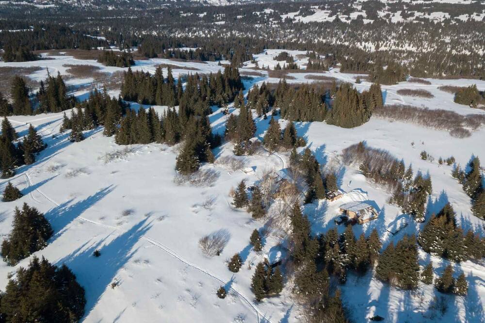 Photo of Outdoor in Diamond Ridge