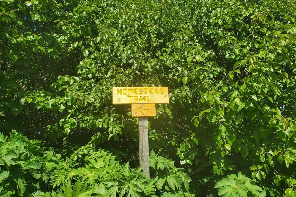 Photo of Outdoor in Diamond Ridge
