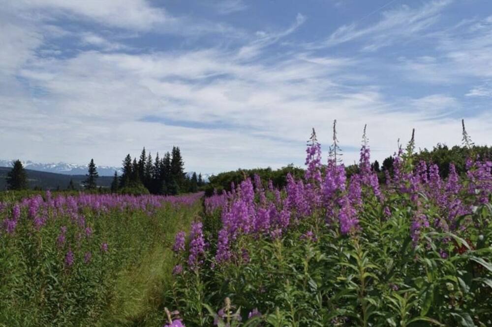 Photo of Outdoor in Diamond Ridge