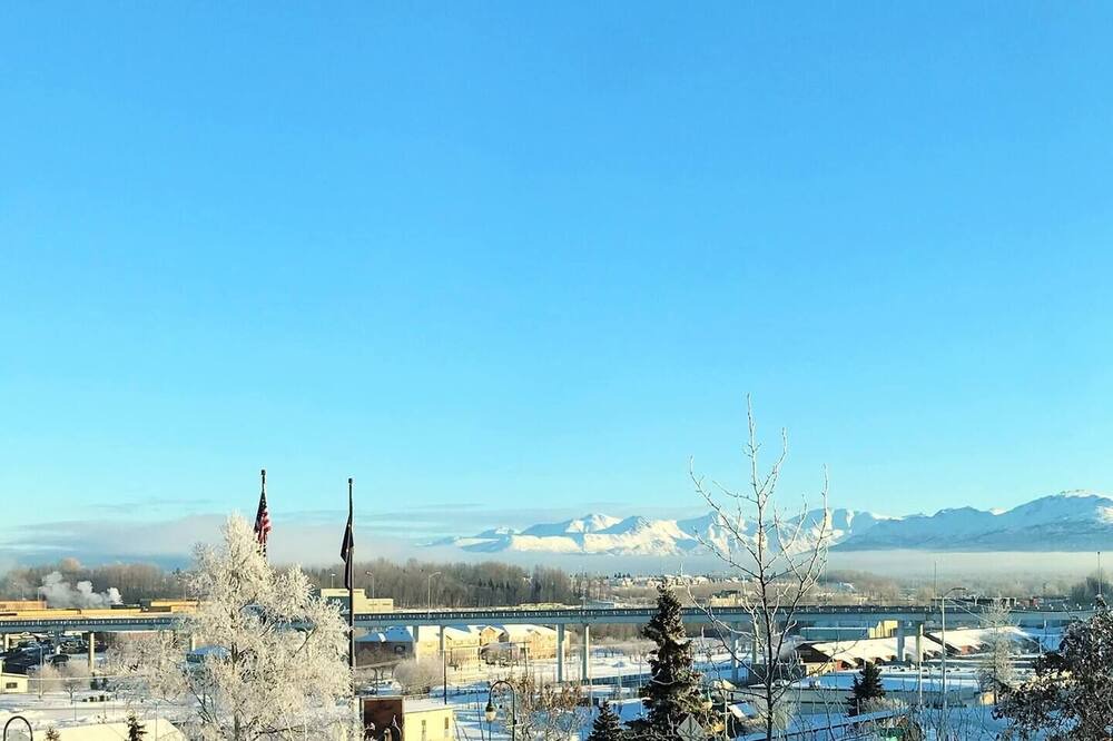 Photo of Others in Downtown Anchorage