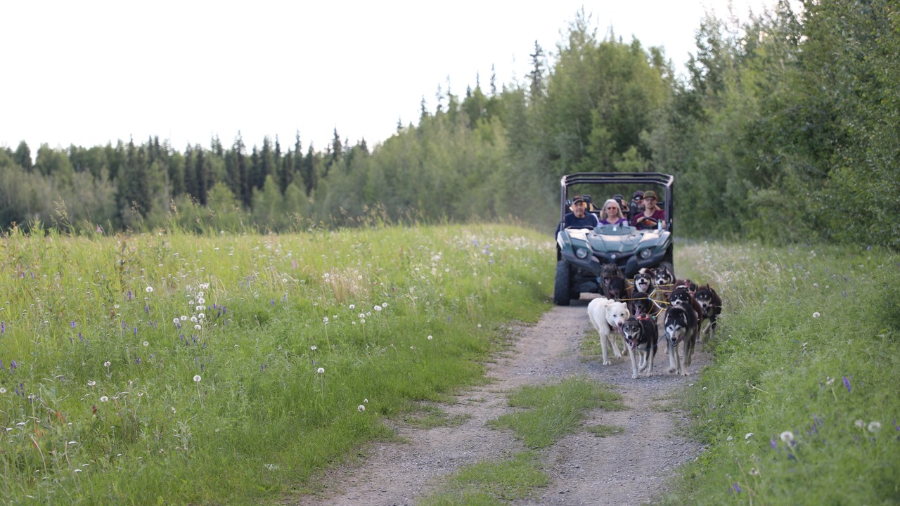 Photo of Outdoor in Fairbanks