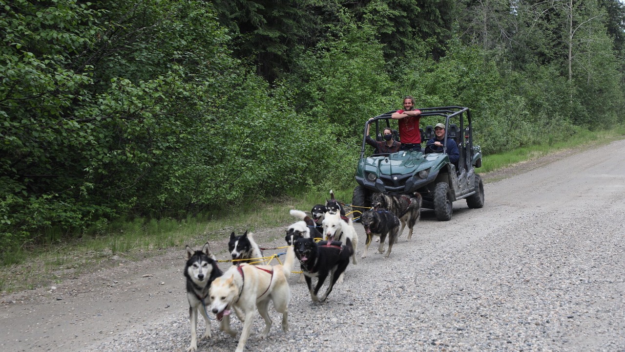 Photo of Others in Fairbanks