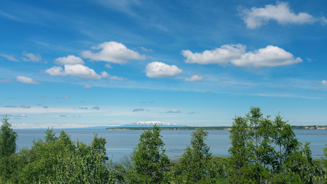 Photo of Others in Downtown Anchorage