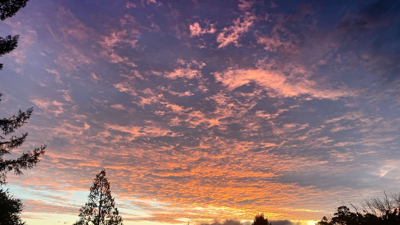 Photo of Outdoor in Tamalpais-Homestead Valley