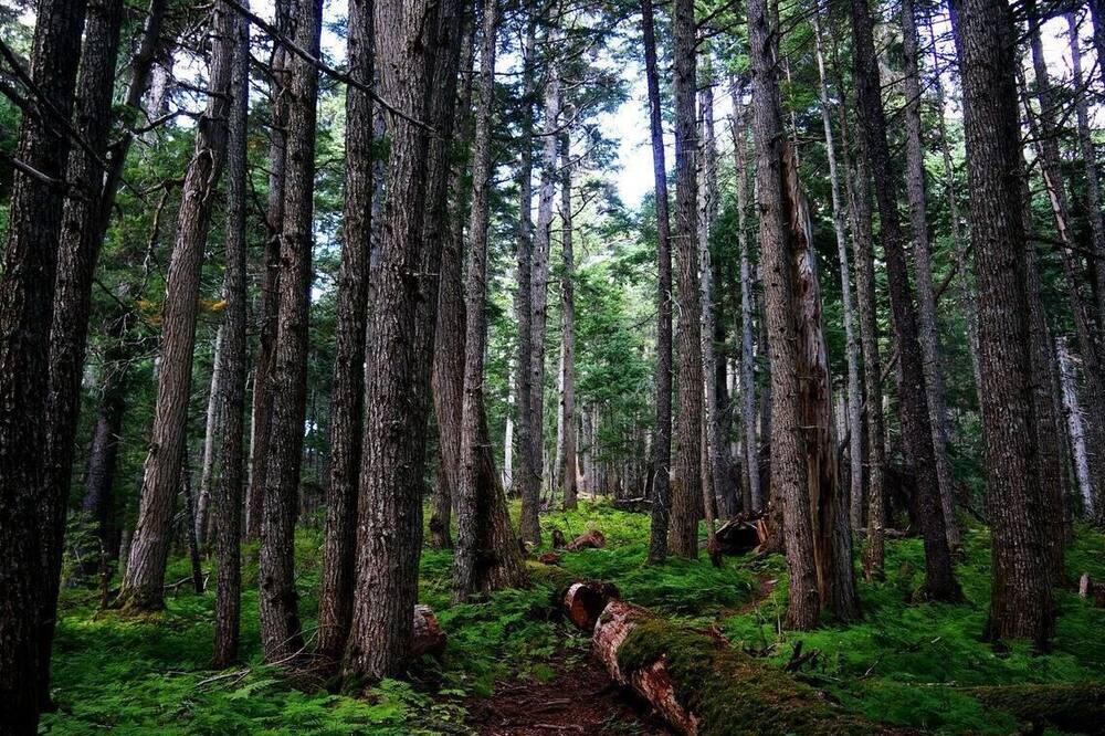 Photo of Others in Alyeska