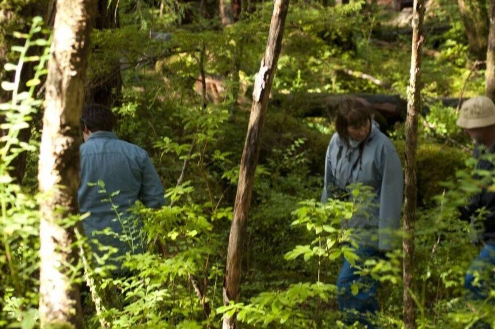 Photo of Others in Mendenhaven