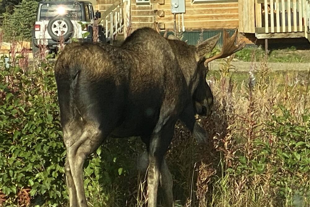 Photo of Outdoor in Diamond Ridge
