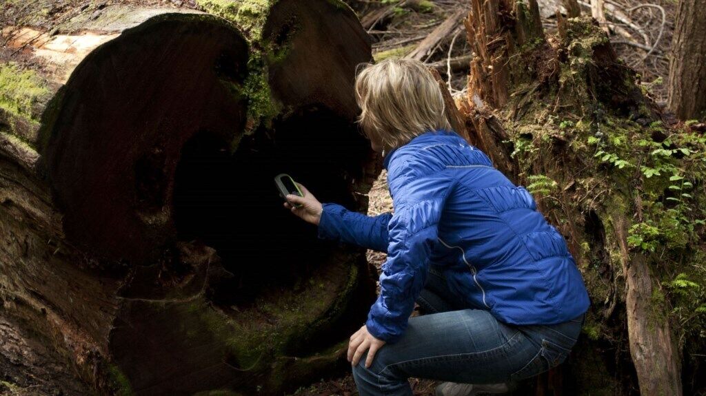 Photo of Outdoor in Mendenhall Valley