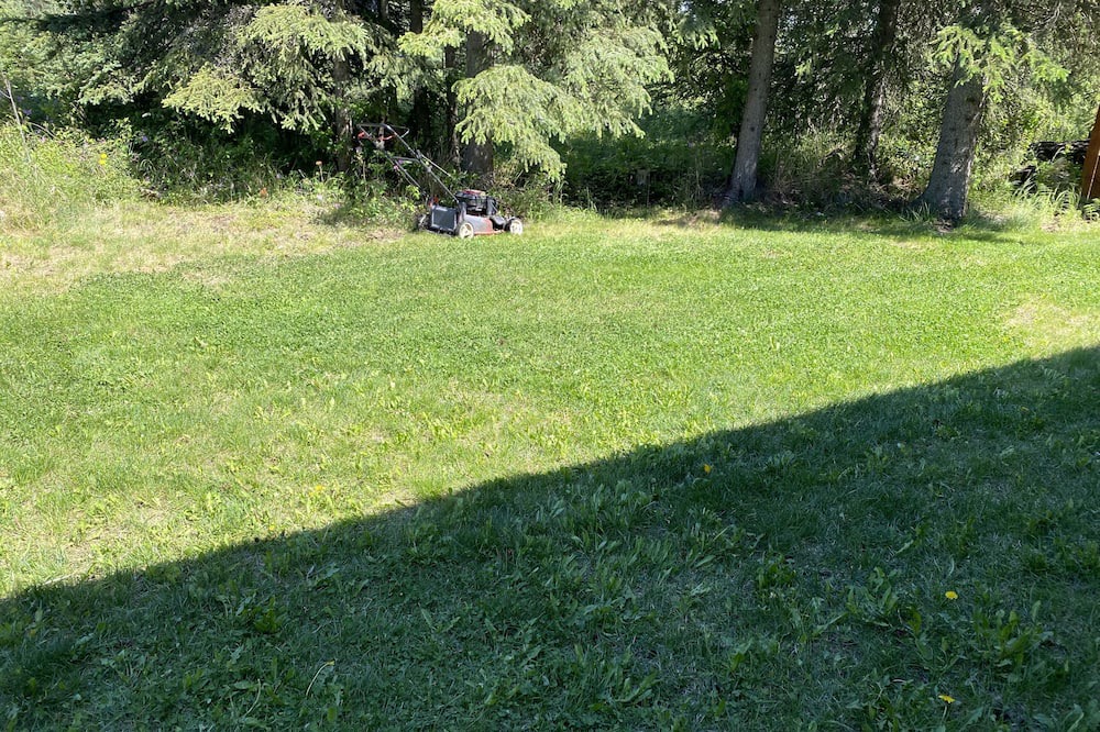 Photo of Others in Cohoe