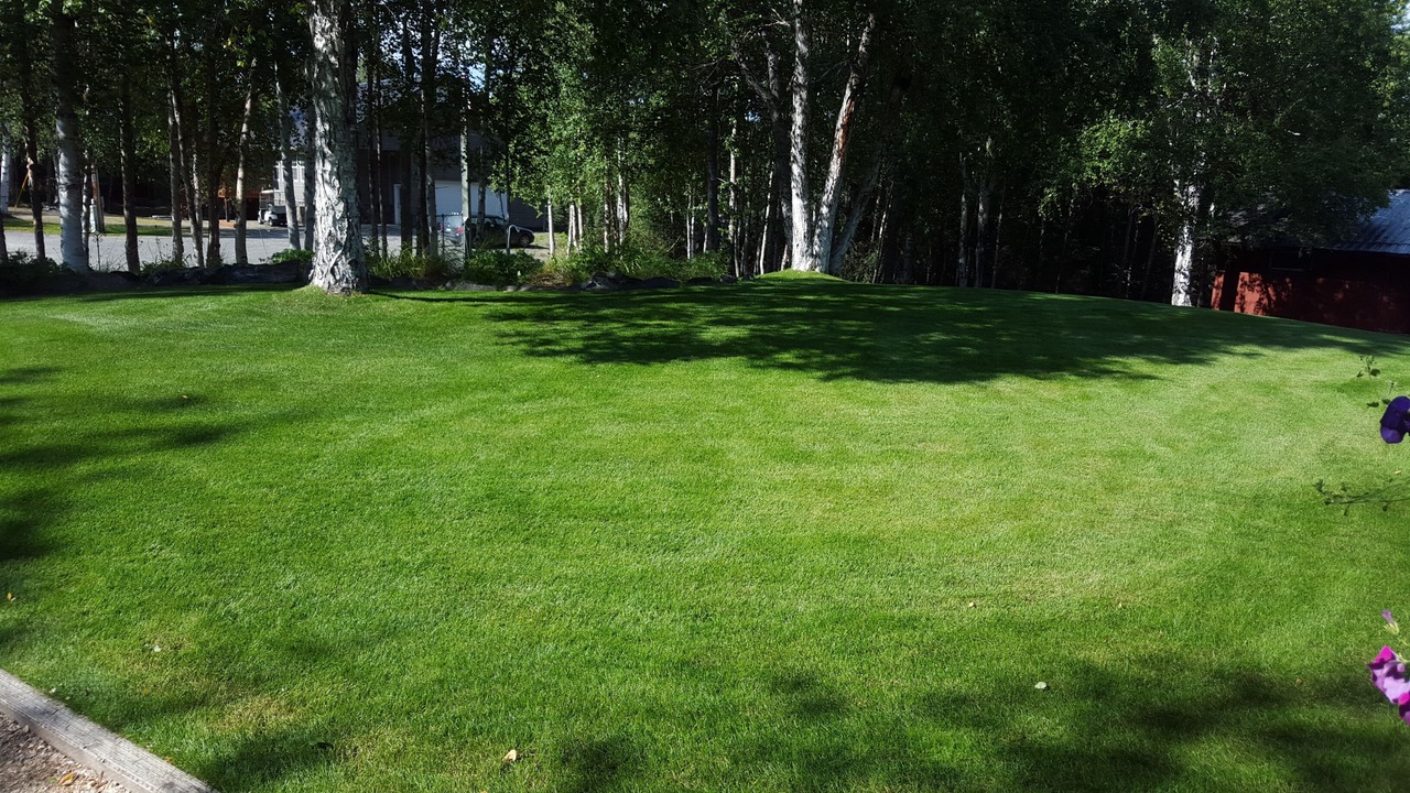 Photo of Outdoor in Soldotna