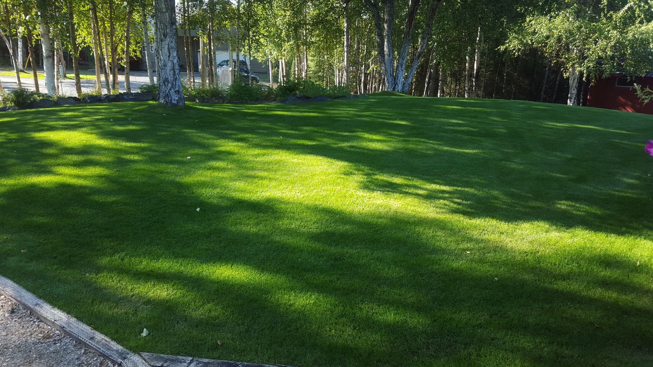 Photo of Outdoor in Soldotna