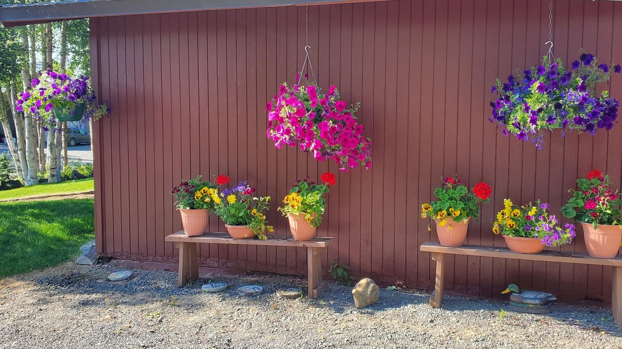 Photo of Outdoor in Soldotna