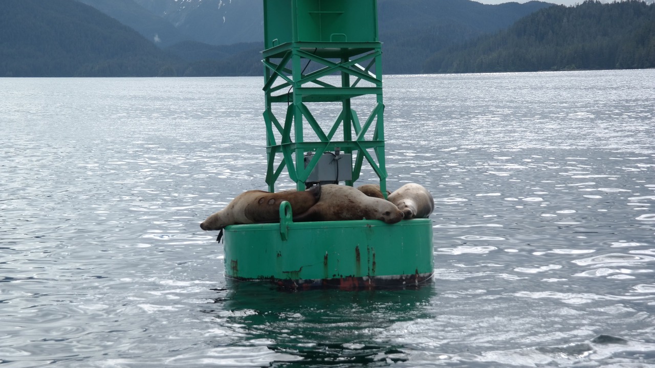 Photo of Others in Sitka